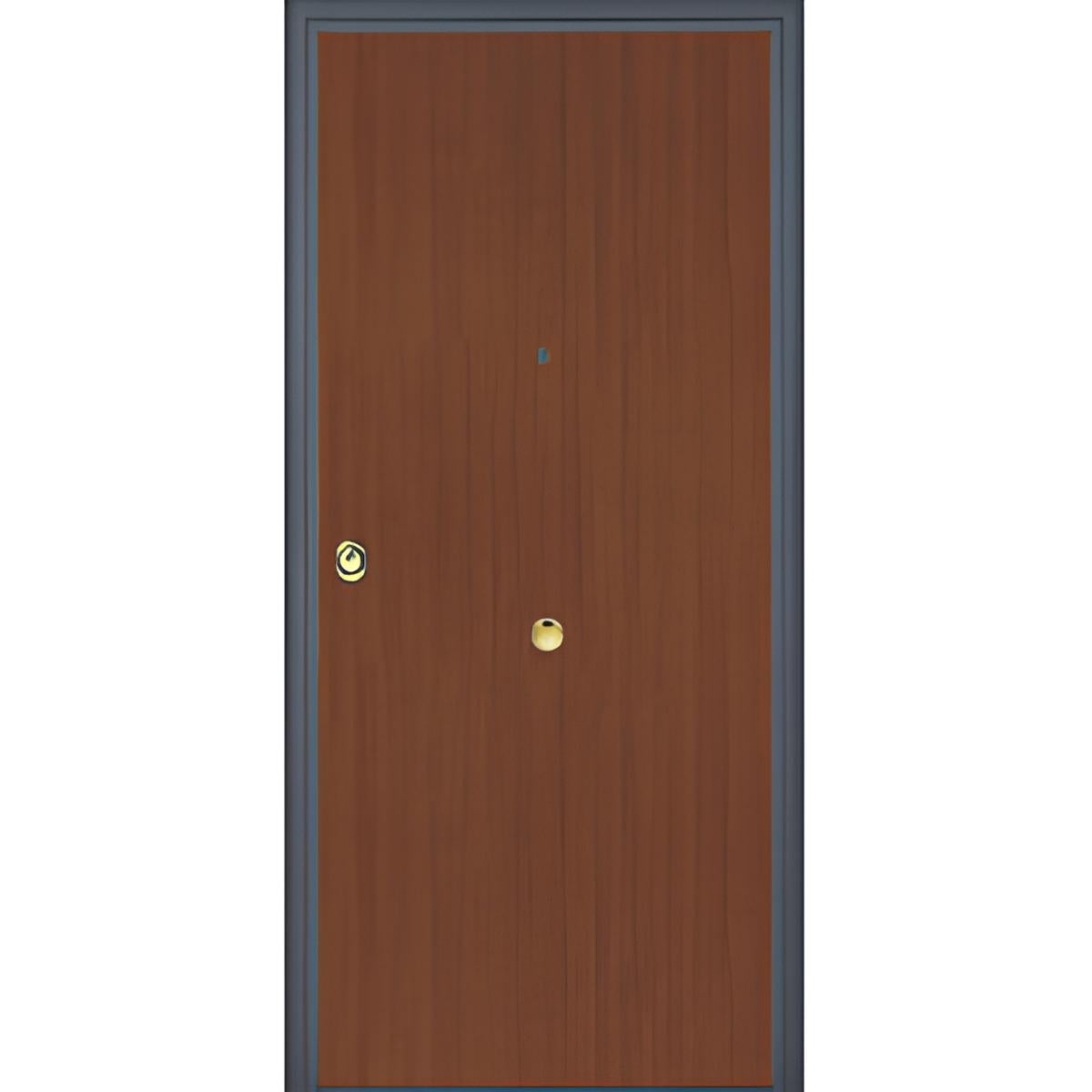 PORTE BLINDÉE CLASSE 3 80X210 CM GAUCHE SANS ACC. 84 KG