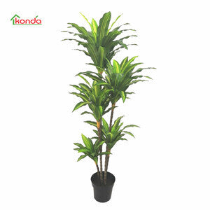 PIANTA DRACENA ARTIFICIALE 170 CM