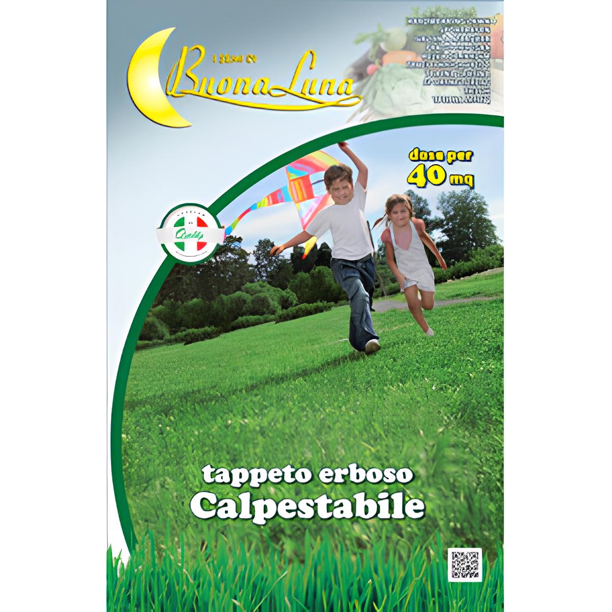 GAZON PIÉTINABLE 1 KG