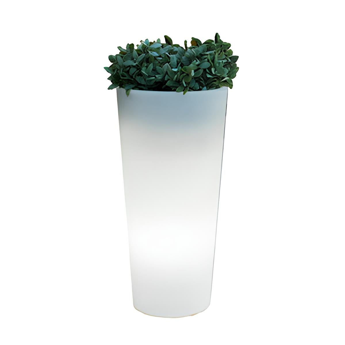 VASO SOLARE FICUS LED D29XH59CM RGB CON TELECOMANDO