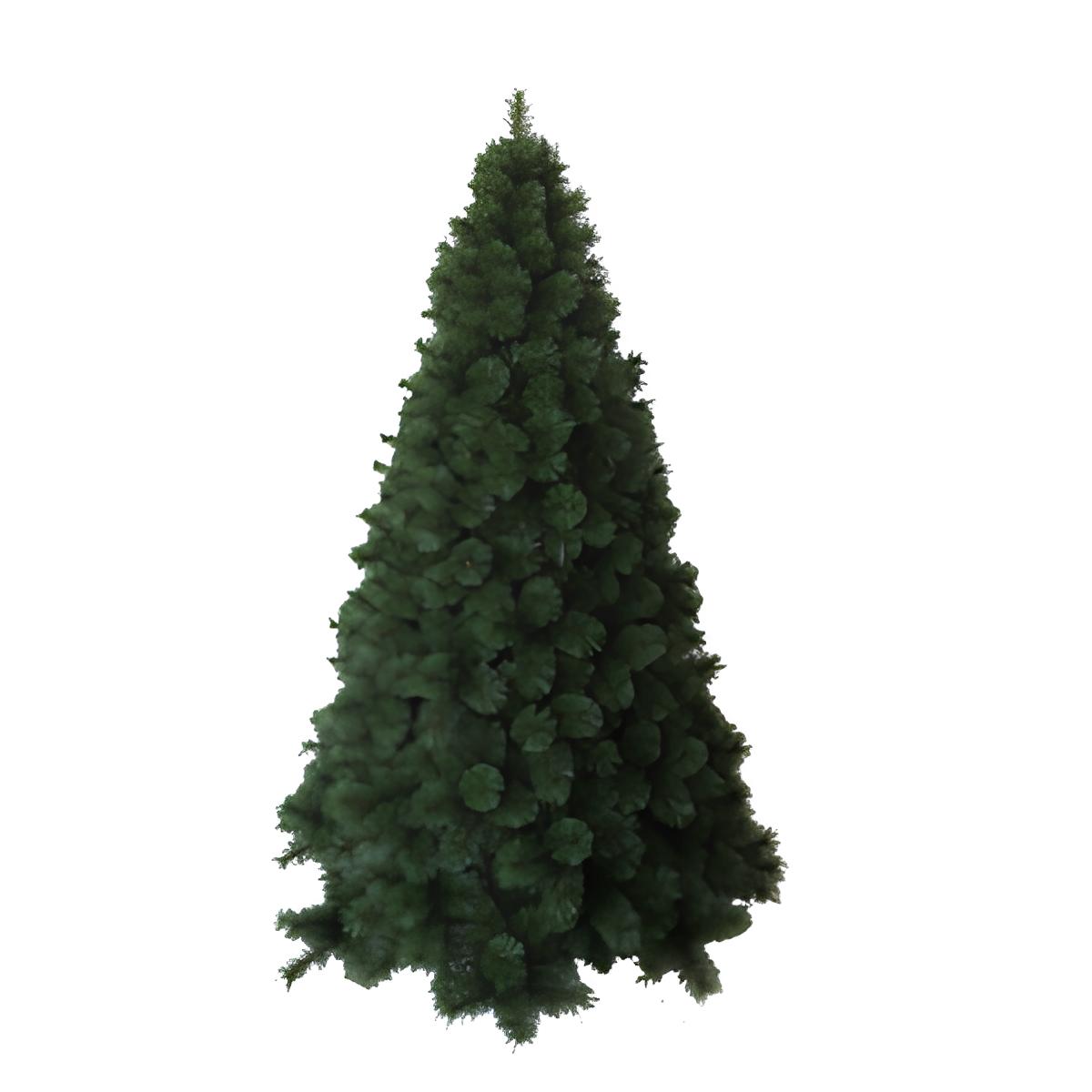 AILANTE SAPIN DE NOËL HN