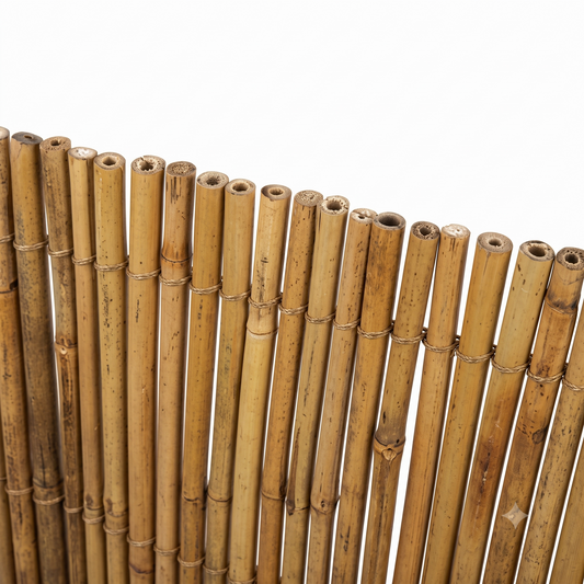 ARELLA STUOIA BAMBOO EXTRA STARS