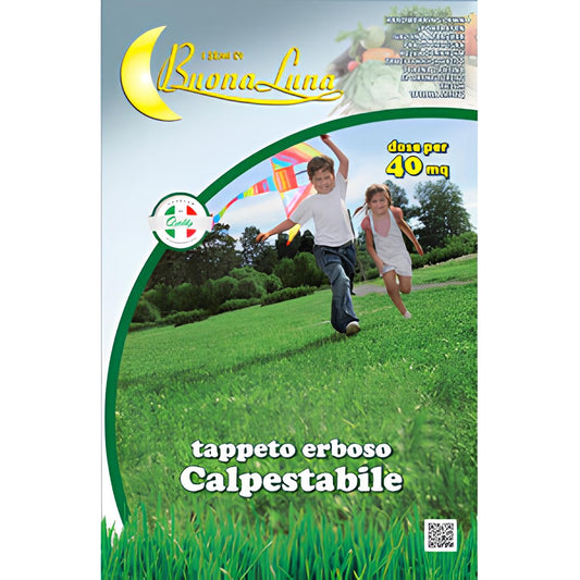 SEMILLAS DE CÉSPED TRANSITABLE 1 KG