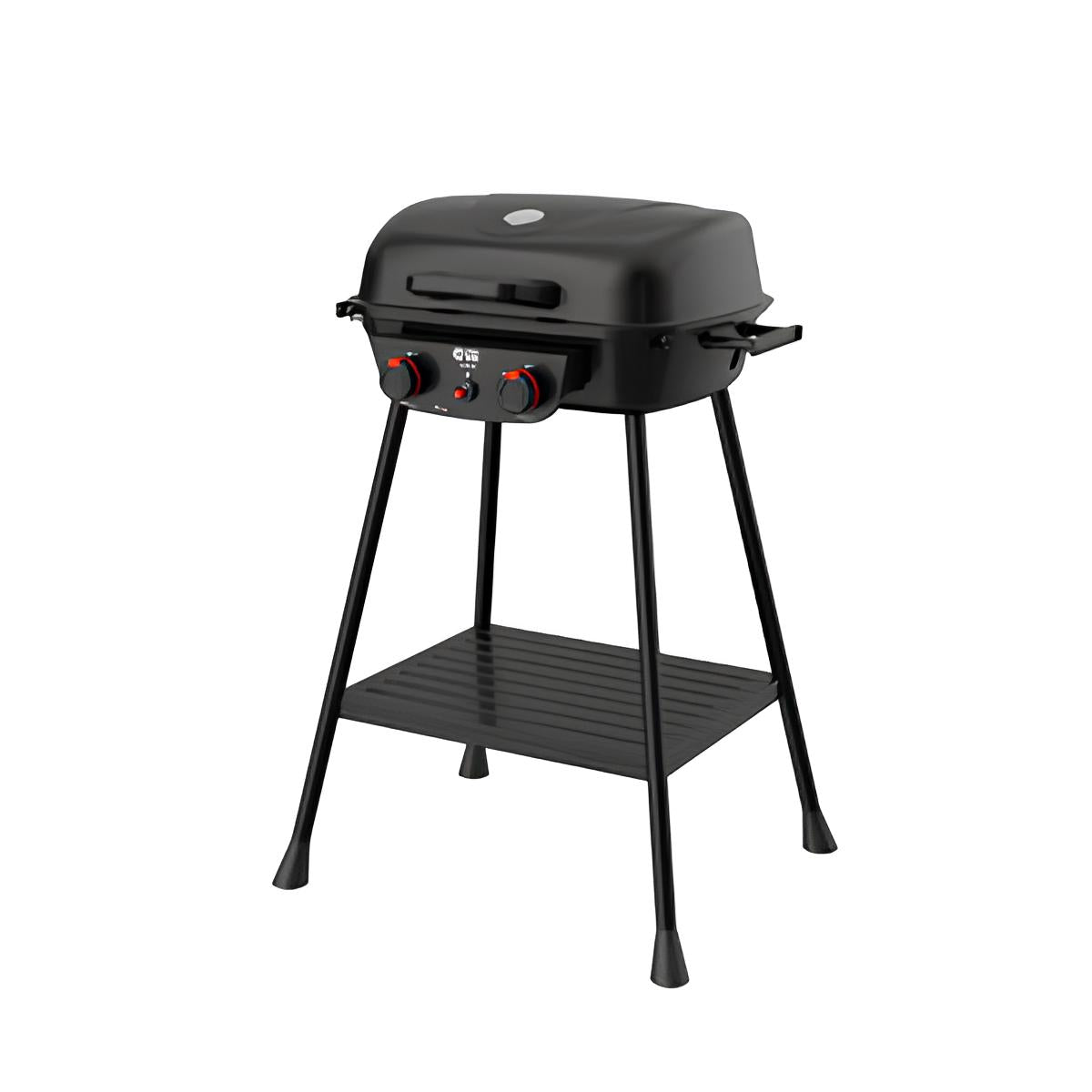 BARBACOA DE GAS DE 2 FUEGOS EASY HOT