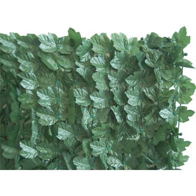 SIEPE SEMPREVERDE EDERA SERIE PLUS