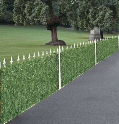 SIEPE SEMPREVERDE EDERA SERIE PLUS