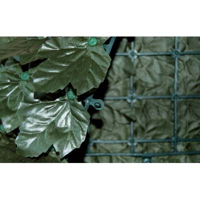 SIEPE SEMPREVERDE EDERA SERIE PLUS